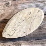 Orthoceras Spear Fossil: 4.9" Long, 7.8 oz , Real Authentic