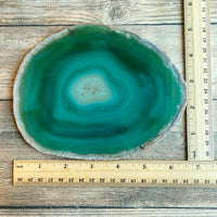 Large Green Agate Slice - Approx 6.65" Long - Large Agate Slice