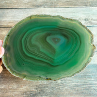 Large Green Agate Slice - Approx 7.0" Long - Large Agate Slice