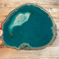 Large Teal Agate Slice - Approx 6.75" Long - Large Agate Slice