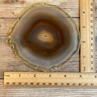 Large Natural Agate Slice (Approx 5.0" Diameter) w/ Crystal Druzy Geode Center - Large Agate Slice