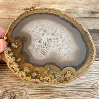 Large Natural Agate Slice - Approx 5.3" Long - Large Agate Slice