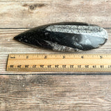 Orthoceras Spear Fossil: 5.45" Long, 6.2 oz (176 g), Real Authentic