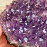 Amethyst Crystal Cluster: 1 lb 2.7 oz (530 g), ~5.5" Long, A+ Quality, Stone Mineral