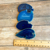 Set of 4 Blue Agate Slices: Approx 2.65 - 3.15" Long, Quartz Crystal Mineral