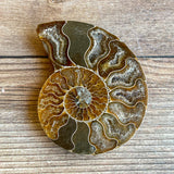 Ammonite Fossil Pair w/ Calcite Chambers: 3.25" Length, 4.5oz (128g) Polished