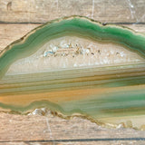 Green Agate Slice (Approx 3.65" Long) w/ Quartz Crystal Druzy Geode Center