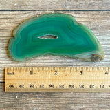 Green Agate Slice (Approx 3.85" Long) w/ Quartz Crystal Druzy Geode Center