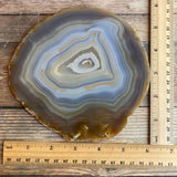 Extra Large Natural Agate Slice (Approx 6.0" Long) w/ Quartz Crystal Druzy Geode Center - Large Agate Slice