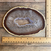 Extra Large Natural Agate Slice (Approx 7.0" Long) w/ Quartz Crystal Druzy Geode Center - Large Agate Slice