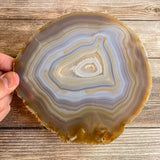 Extra Large Natural Agate Slice (Approx 6.0" Long) w/ Quartz Crystal Druzy Geode Center - Large Agate Slice