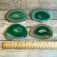 Set of 4 Green Agate Slices, Approx 3.2" Length, Crystal Mineral Stone Display Specimen