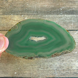 Set of 4 Green Agate Slices, Approx 3.2-3.5" Length, Crystal Mineral Stone Display Specimen