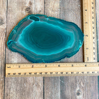Large Teal Agate Slice - Approx 5.9" Long - Large Agate Slice