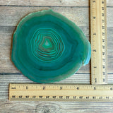 Large Green Agate Slice - Approx 4.75" Long - Large Agate Slice
