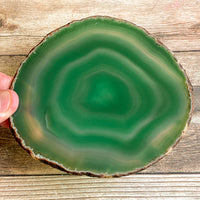 Large Green Agate Slice - Approx 5.15" Long - Large Agate Slice