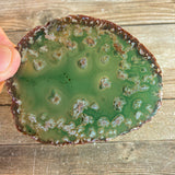 Green Agate Slice: Approx 3.25" Long, Geode Quartz Crystal