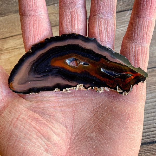 Natural Agate Slice (Approx 3.75" Long) w/ Several Natural Holes