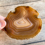 Natural Agate Slice: Approx 3.85" Long, Quartz Crystal Coaster Geode Stone