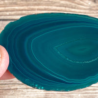 Teal Agate Slice: Approx 2.65" Long, Quartz Crystal Coaster Geode Stone