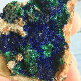 Azurite w/ Malachite: 1.75" Long, 1.9oz (52g) Unpolished Raw Rough Mineral