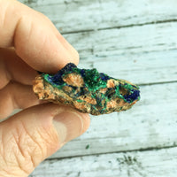 Azurite w/ Malachite: 1.75" Long, 1.9oz (52g) Unpolished Raw Rough Mineral