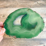 Large Green Agate Slice - Approx 6.1" Long, Crystal Stone Mineral - Large Agate Slice