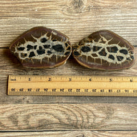 Septarian Concretion Nodule Fossil Pair: 3.0" Long, Polished Split