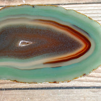 Green Agate Slice (Approx 3.3" Long) w/ Quartz Crystal Druzy Geode Center