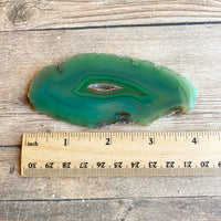 Green Agate Slice (Approx 4.0" Long) w/ Quartz Crystal Druzy Geode Center
