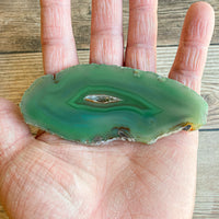 Green Agate Slice (Approx 4.0" Long) w/ Quartz Crystal Druzy Geode Center