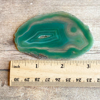 Green Agate Slice (Approx 3.2" Long) w/ Quartz Crystal Druzy Geode Center