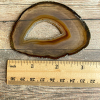 Natural Agate Slice (Approx 3.25" Long) w/ Quartz Crystal Druzy Geode Center