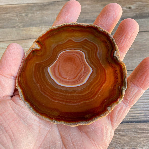 Burnt Orange Agate Slice: Approx 3.55" Long, Quartz Crystal Coaster Geode Stone