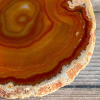 Burnt Orange Agate Slice: Approx 3.55" Long, Quartz Crystal Coaster Geode Stone