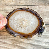 Large Natural Agate Slice: Approx 4.0" Long, Quartz Crystal Coaster Geode Stone - Large Agate Slice