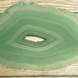Green Agate Slice (Approx 3.8" Long) w/ Quartz Crystal Druzy Geode Center