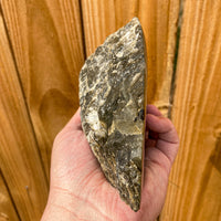 Labradorite Polished: 7.1" Long 3 Lb 1 oz (1.394kg) Madagascar Raw Natural